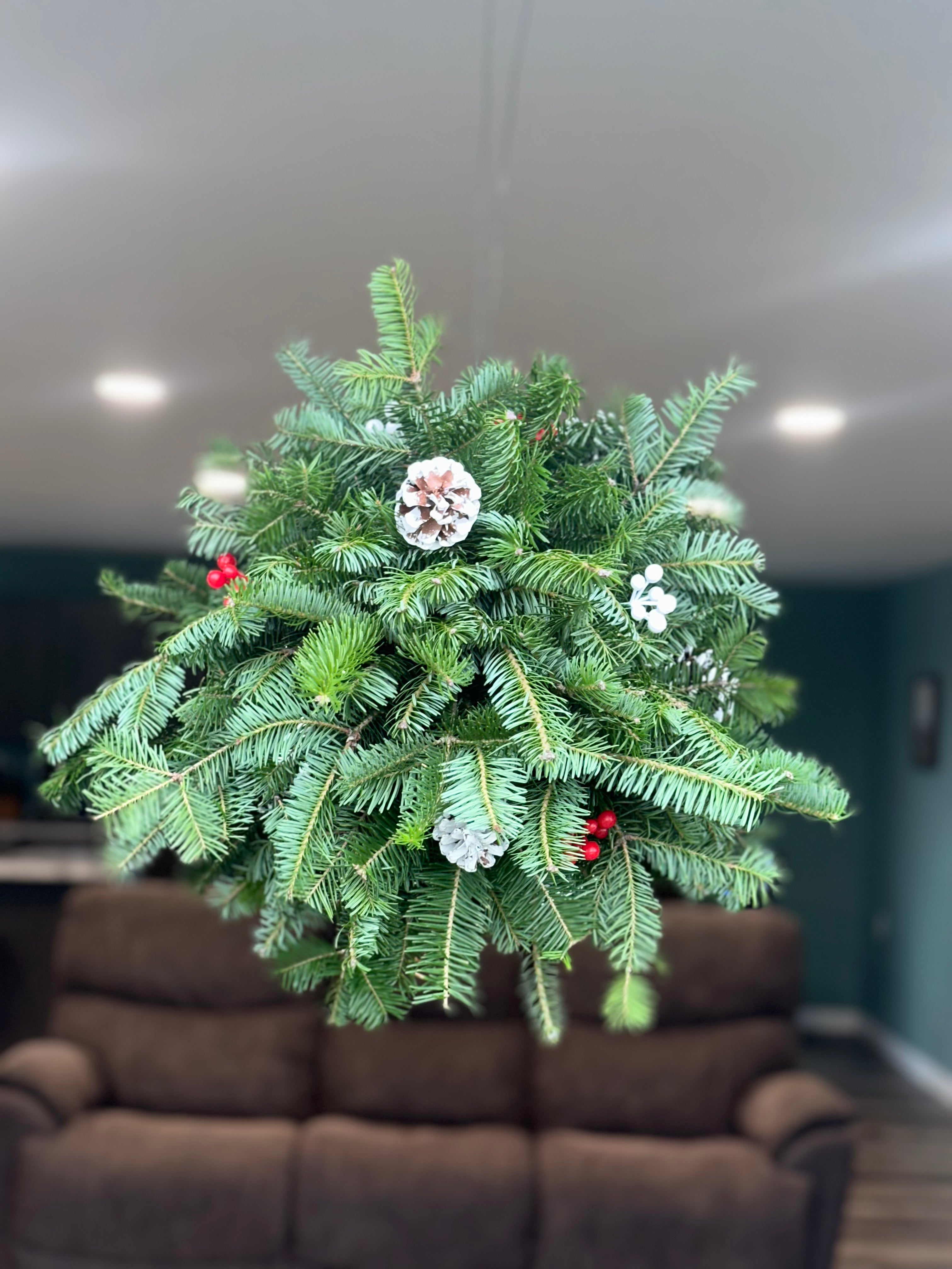 DIY Christmas Kissing Ball Kit – Holiday Porch & Indoor Decor
